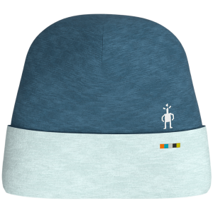 Smartwool 250 Cuffed Beanie Hat 2025 in Blue