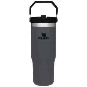 Stanley The IceFlow Flip Straw 30oz Tumbler 2024 in Charcoal | Plastic