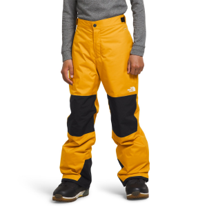 Kid's The North Face Freedom Insulated Pants Boys' 2024 in Gold size X-Small | Polyester