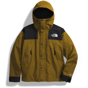 The North Face GORE-TEX Mountain Jacket Men's 2024 in Green size Small | Polyester