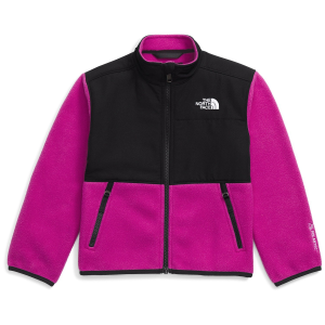 Kid's The North Face Denali Jacket Toddlers' 2025 in Purple size 4T | Polyester
