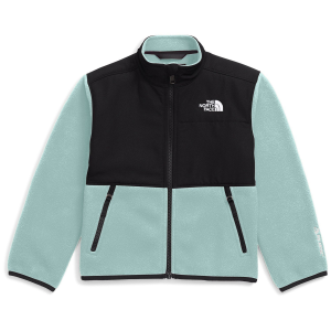 Kid's The North Face Denali Jacket Toddlers' 2025 in Blue size 3T | Polyester