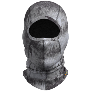 Smartwool 250 Balaclava 2025 in Gray