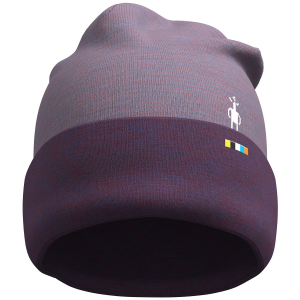 Smartwool 250 Cuffed Beanie Hat 2025 in Purple
