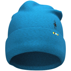 Smartwool 250 Cuffed Beanie Hat 2025 in Blue