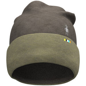 Smartwool 250 Cuffed Beanie Hat 2026 in Green
