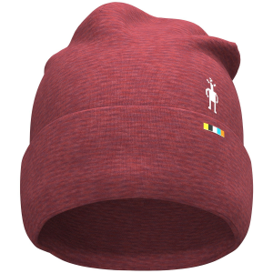 Smartwool 250 Cuffed Beanie Hat 2026 in Red