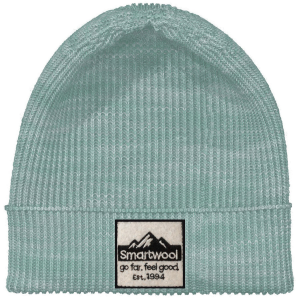 Smartwool Patch Beanie Hat 2025 in Green | Wool/Polyester