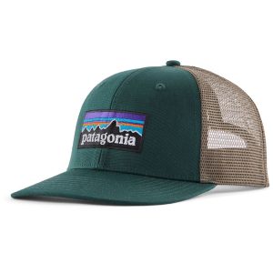 Patagonia P-6 Logo Trucker Hat 2025 in Green | Cotton/Polyester