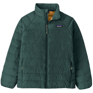Kid's Patagonia Down Sweater 2025 in Green size X-Large | Nylon/Plastic