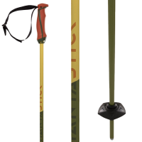 Volkl Phantastick 18mm Ski Poles 2025 in Green size 120 | Aluminum