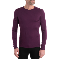 Icebreaker 200 Oasis Long Sleeve Crew Top 2024 in Purple size Medium | Wool