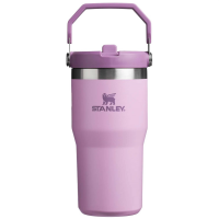 Stanley The IceFlow Flip Straw 20oz Tumbler 2024 in Purple