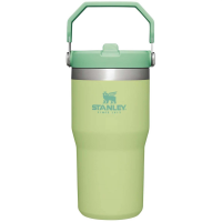 Stanley The IceFlow Flip Straw 20oz Tumbler 2024 in Green