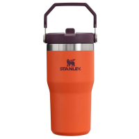 Stanley The IceFlow Flip Straw 20oz Tumbler 2024 in Orange