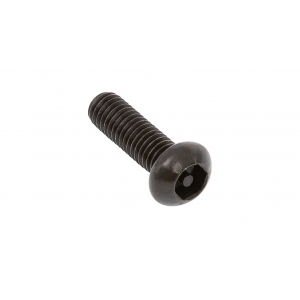 M6 X 20mm Black Button Security Screw (Stainless Steel) (6 Pack)