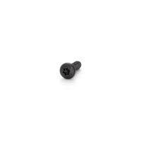 M6 X 20 Pan Head T30 Screw Black - 4 Pack