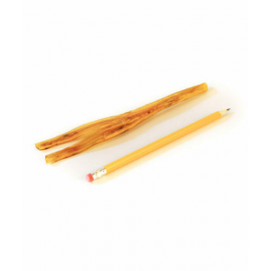 6-9" Achilles Beef Tendons  80 Pack by Bully Sticks Direct