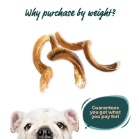 4-5" Bully Stick CurlySpRings - Odor Free 30 Pack by Bully Sticks Direct