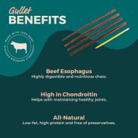 12" Moo Taffy Sticks - Gullet Sticks 2 Pounds | 32-44 Pieces by Bully Sticks Direct