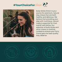 (1) Pound of Bully Bites Odor Free  by Bully Sticks Direct