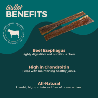 12" Moo Taffy Strips - Gullet Strips 1 Pound | 16-22 Pieces by Bully Sticks Direct