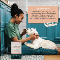 6-7" Pork Bully StickSpRings 20 Pack by Bully Sticks Direct