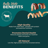 4-7" THICK Bully Stick CurlySpRings - Odor Free 1 Pound | 6-9 Pieces by Bully Sticks Direct