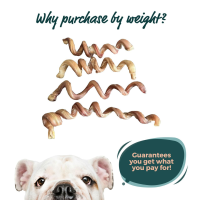 8-12" THICK Bully Stick CurlySpRings - Odor Free 1/2 Pound | 2-3 Pieces by Bully Sticks Direct