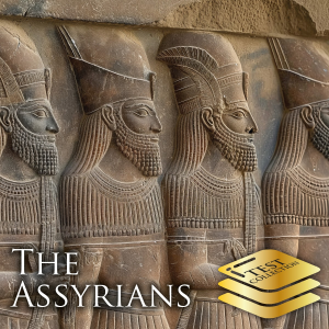 The Assyrians - Basic
