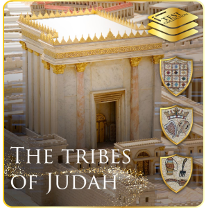 Kingdom of Judah - Basic
