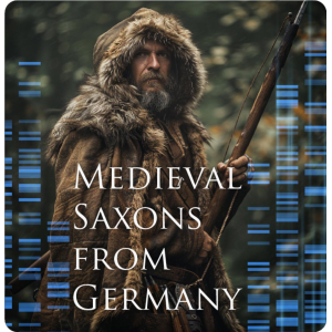 Medieval Saxons from Germany - Basic
