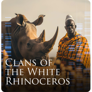 Clans of the White Rhinoceros - Basic