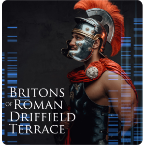 Britons of Roman Driffield Terrace - Advanced