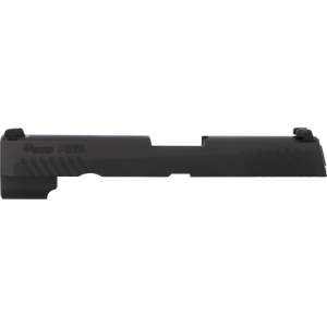 P320 Slides