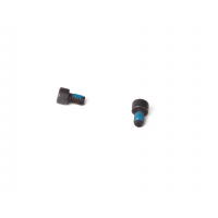 SIGHT PLATE SCREWS, 320 X-SERIES