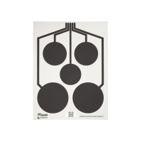 T300 (MULTI ZONE) TARGETS 5 PACK