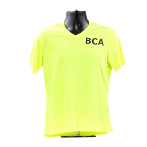 BCA Ladies V-Neck Tee | Team 365(R) V-neck