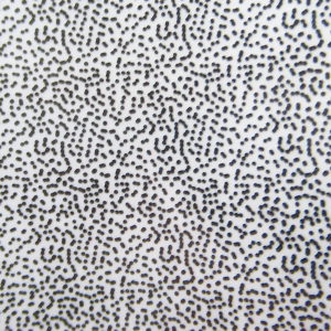 Image of Wapsi Thin Skin Fly Specks