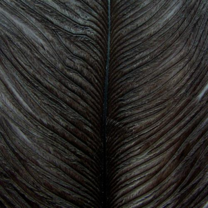 Image of Wapsi Ostrich Herl