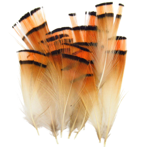 Image of Wapsi Golden Pheasant Tippets