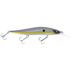 Image of Megabass Vision Oneten Plus 1 Jr | Megabass Sexy Shad; 3 7/8 in.