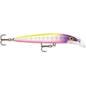 Image of Rapala Scatter Rap Deep Husky Jerk | Moldy Fruit; 4 in.