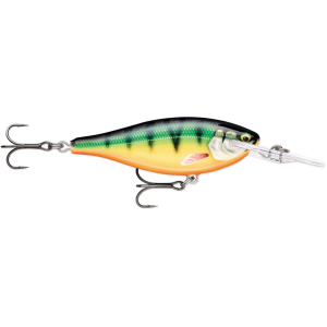Image of Rapala Shad Rap Elite | Gilded Perch; 3 in.