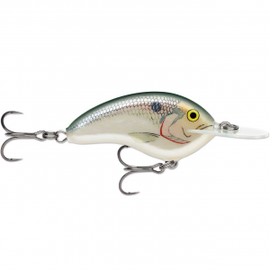 Image of Rapala OG Tiny Deep Series Crankbait | Shad; 2 1/4 in.