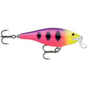 Image of Rapala Shallow Shad Rap | Fruit Punch; 2 in.