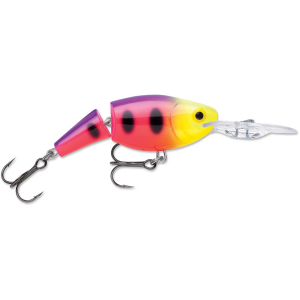 Image of Rapala Jointed Shad Rap | Fruit Punch; 2 3/4 in.