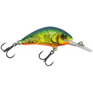 Image of Salmo Floating Hornet Crankbait | Citron Steel; 2 in.