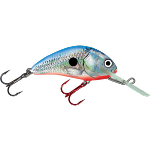 Image of Salmo Floating Hornet Crankbait | Silver Blue Shad; 2 in.