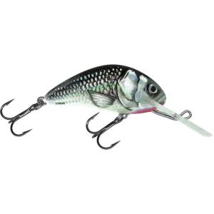 Image of Salmo Floating Hornet Crankbait | Holographic Grey Shiner; 1 5/8 in.